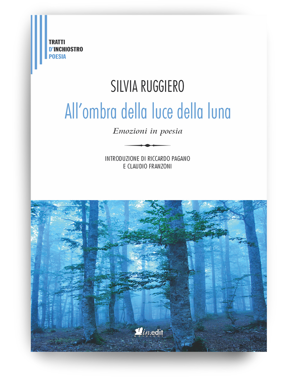 All'ombra della luce della luna